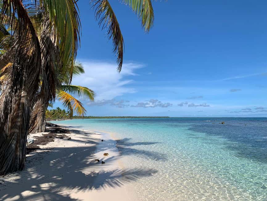 Punta Cana: VIP Private Speedboat Escape to Saona Island - Should You Book This Private Speedboat Escape?