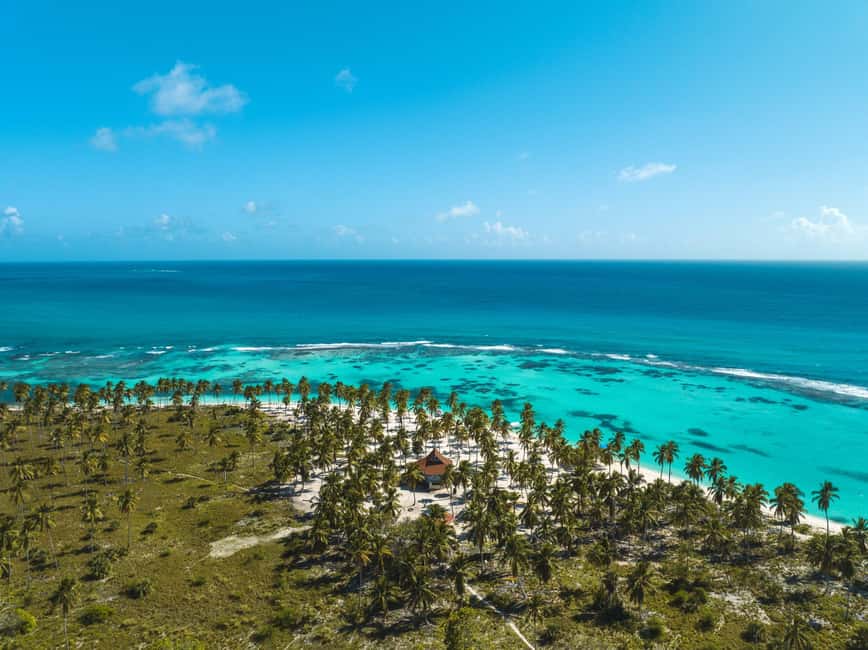 Punta Cana: VIP Private Speedboat Escape to Saona Island - The Natural Pool and Playa Palmilla