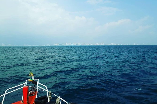 Racha & Coral Island Day Trip by Speedboat - Lunch Included - Who will enjoy this trip most