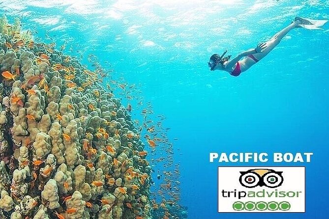Real snorkel trip by speedboat with small group on Cham island - Dai Island brings the first hour in the water