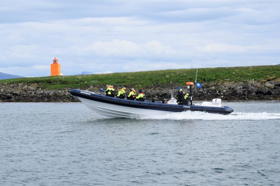 Reykjavik: Puffin Watching Tour by RIB Speedboat - Puffins are charming, but difficult to photograph
