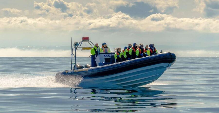 Reykjavík: RIB Speed-Boat Puffin Watching Tour - Who should choose this boat