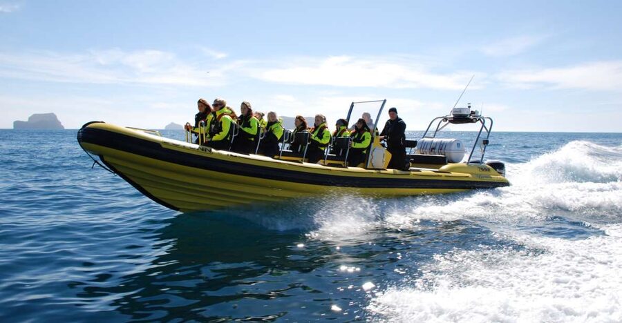 Reykjavik: Whale Watching by RIB Speedboat - Engey, Lundey, and the Reykjavík shoreline