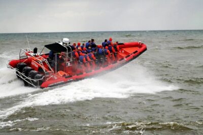 Whale Watching by RIB Speedboat