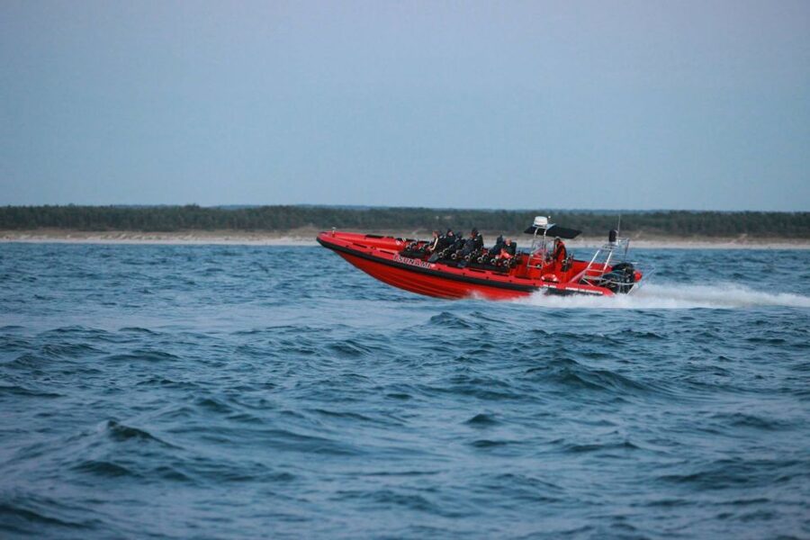 Reykjavik: Whale Watching by RIB Speedboat - What the guide and captain add