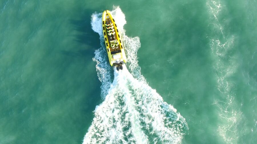 Reykjavik: Whale Watching by RIB Speedboat - Weather, comfort, and the risk of seasickness