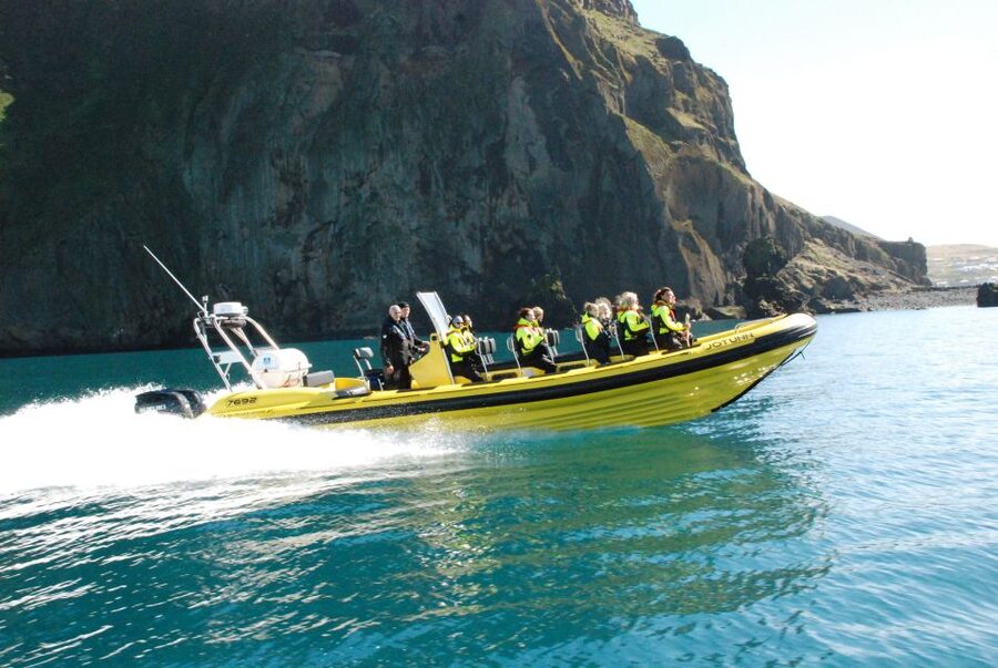 Reykjavik: Whale Watching by RIB Speedboat - Should you book the Reykjavík RIB whale tour?