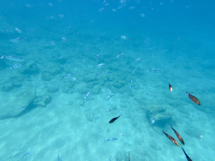 Rhodes: Luxury RIB All-Inclusive Swimming Cruise to 3 Bays - Ladiko Bay: a quieter break with snacks