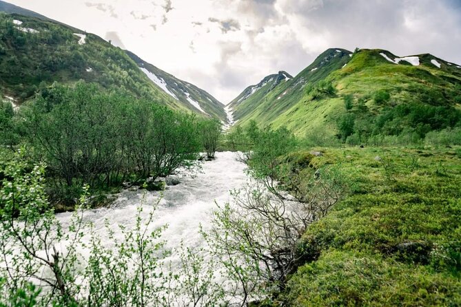 RIB Expedition to Seiland National Park - 3.5h - Wildlife along the fjord