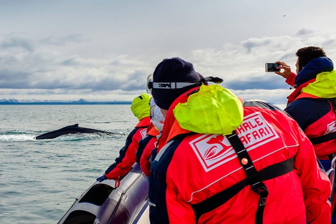 RIB Whale Watching Small-Group Boat Tour from Reykjavik - Meeting the crew at Ægisgarður 5d