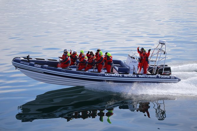 RIB Whale Watching Small-Group Boat Tour from Reykjavik - The return past Sun Voyager and Harpa