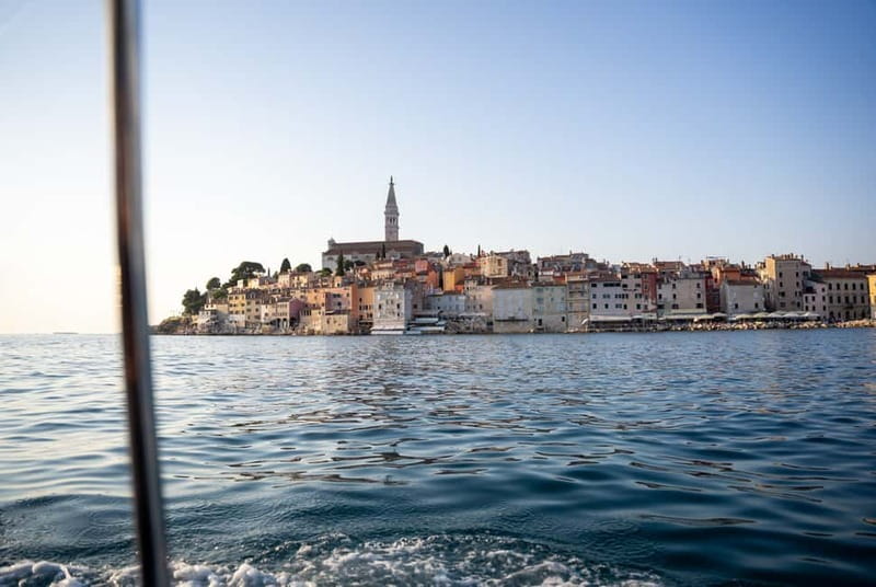 Rovinj: Dolphin Watching Sunset Speedboat Tour with Drinks - Is $74 a fair price?