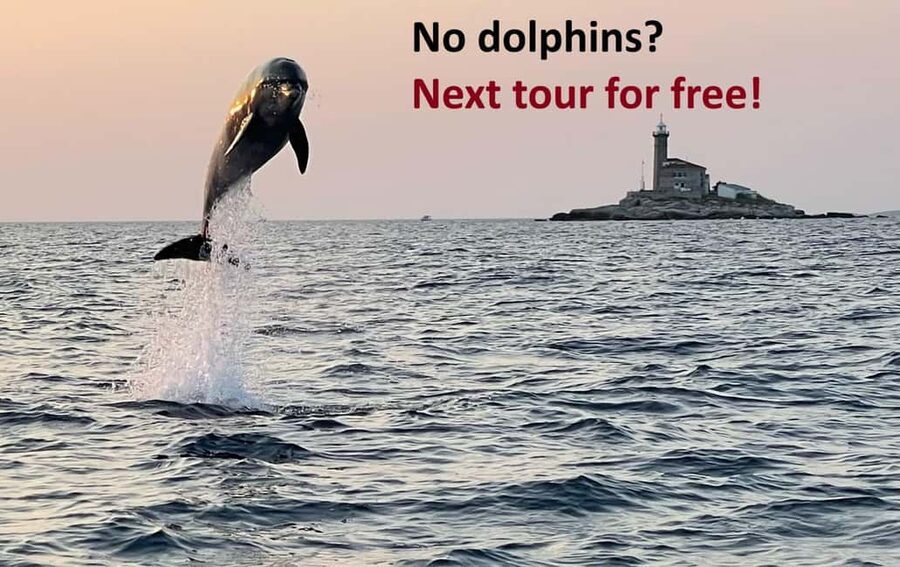 Rovinj: Dolphin Watching Sunset Speedboat Tour with Drinks - Why this 90-minute dolphin trip works so well
