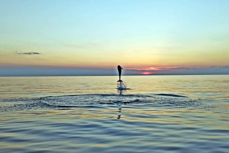 Rovinj: Dolphin Watching Sunset Speedboat Tour with Drinks - The first 15 minutes, Rovinj from the water