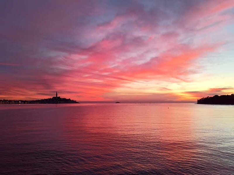 Rovinj: Dolphin Watching Sunset Speedboat Tour with Drinks - Forty-five minutes in the dolphin area