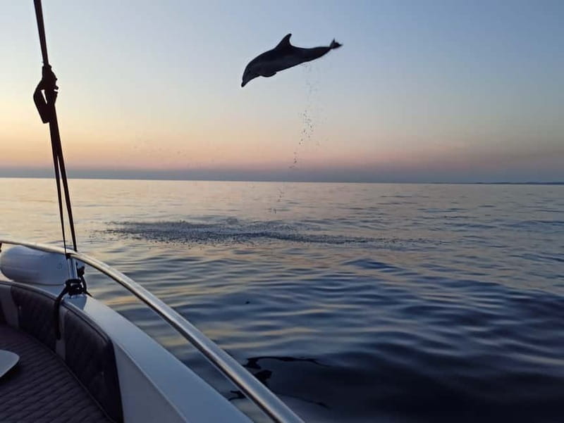 Rovinj: Dolphin Watching Sunset Speedboat Tour with Drinks - The final 10 minutes, sunset and Rovinj after the crowds