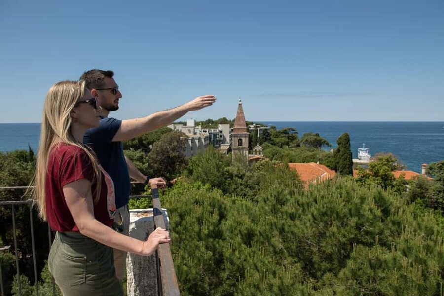 Rovinj or Vrsar: Rovinj Islands and Lim Fjord Speedboat Tour - Velika Sestrica and the southern coves