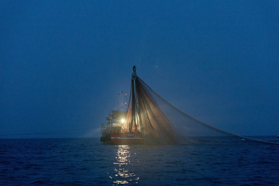 Rovinj: Sunrise Dolphins & Fishermen at Work Speedboat Tour - Sunrise over the fishing grounds