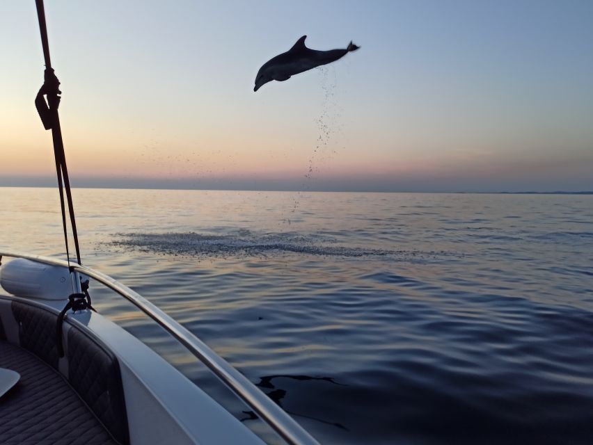 Rovinj: Sunrise Dolphins & Fishermen at Work Speedboat Tour - Practical details before you book