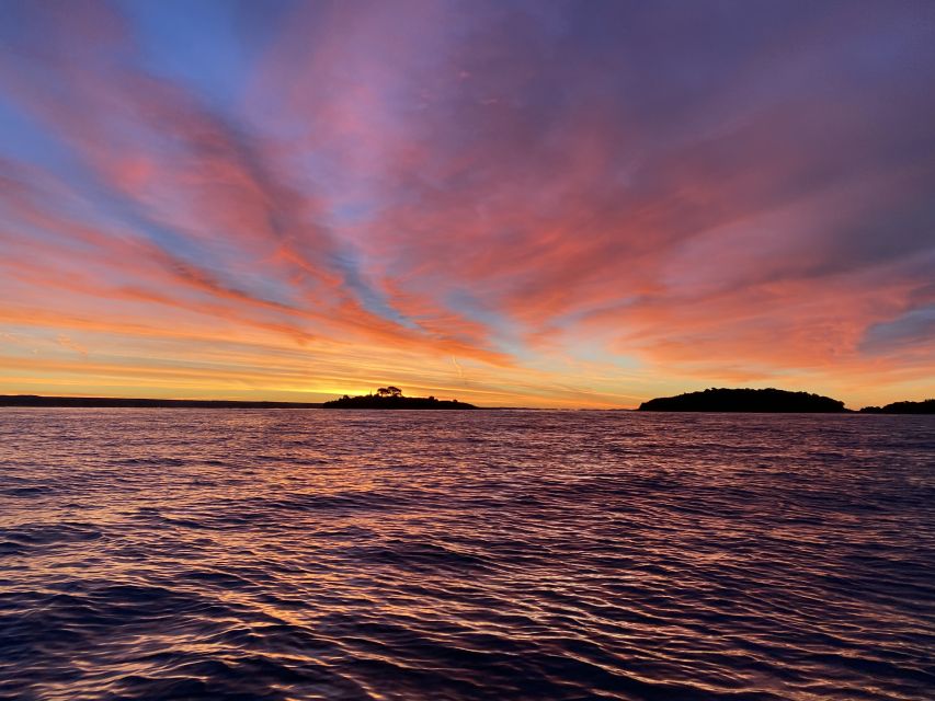 Rovinj: Sunrise Dolphins & Fishermen at Work Speedboat Tour - Who should book the Sunrise Dolphins tour