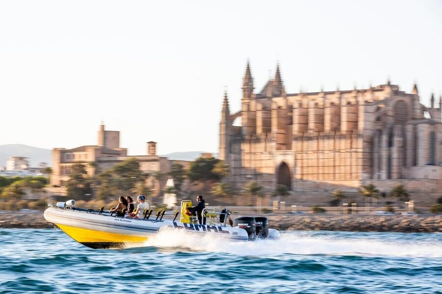 S'Arenal: Boat trip to Illetas with views of Palma - Why this boat trip works so well