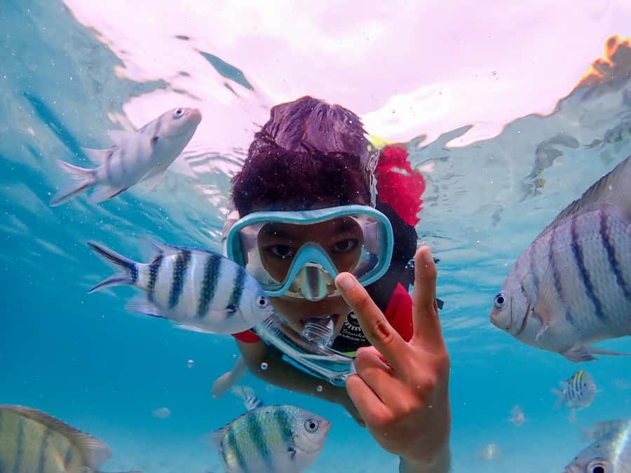 Samaesarn : Finding Nemo Snorkeling Tour Private speedboat - The quick facts that shape the day