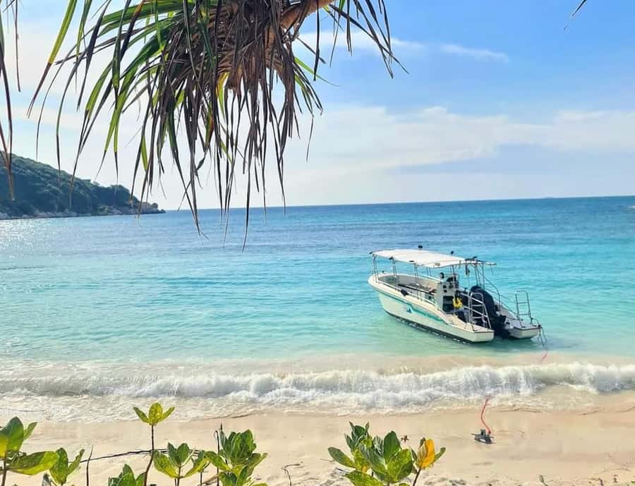 Samaesarn : Finding Nemo Snorkeling Tour Private speedboat - Koh Rong Koh Rong Nang: a second reef setting