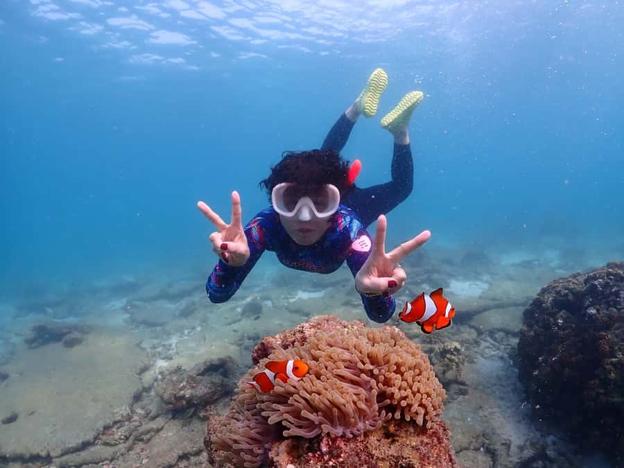 Samaesarn : Finding Nemo Snorkeling Tour Private speedboat - Samae San Island: the final snorkeling stop