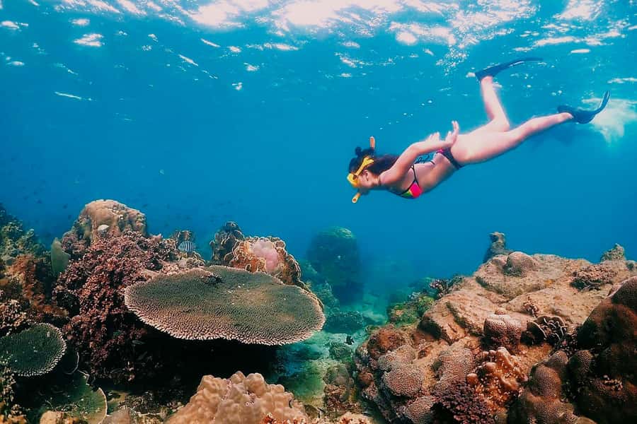 Samaesarn : Finding Nemo Snorkeling Tour Private speedboat - What the crew adds to the experience