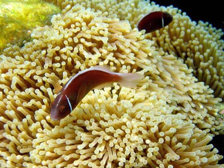 Samui: Angthong National Marine Park Day Trip by Speedboat - The main hike rewards steady legs