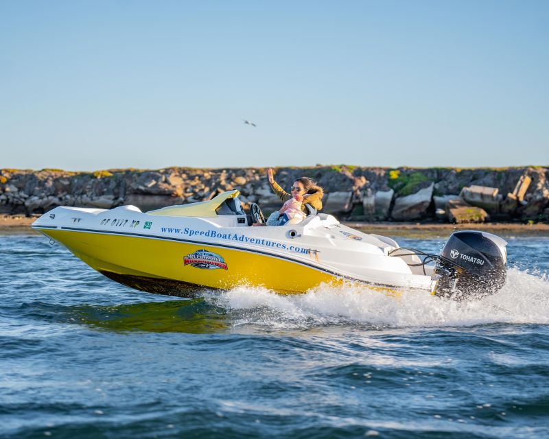 San Diego: Drive Your Own Speed Boat 2-Hour Tour - Cruising San Diego Harbor with a guide