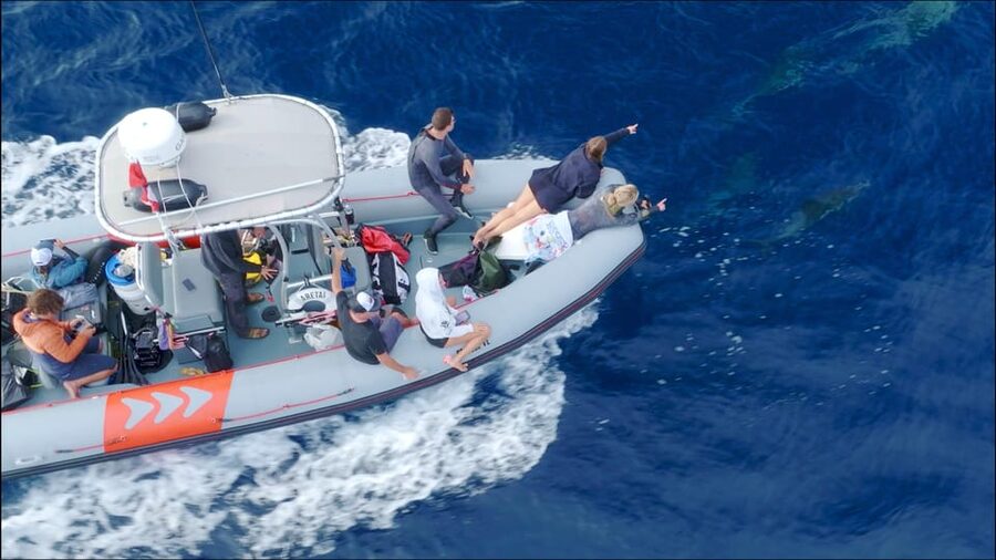 San Diego: Whale and Dolphin Watching Speedboat Tour - Guides who make the difference