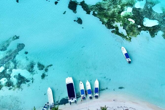 Saona by Speedboat: Private Beach & Snorkeling – Small Group - The reserved beach area on Saona