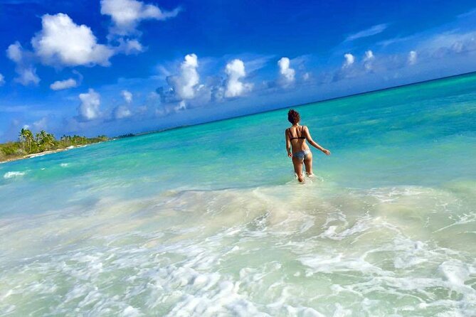 Saona by Speedboat: Private Beach & Snorkeling – Small Group - A Dominican lunch with drinks included