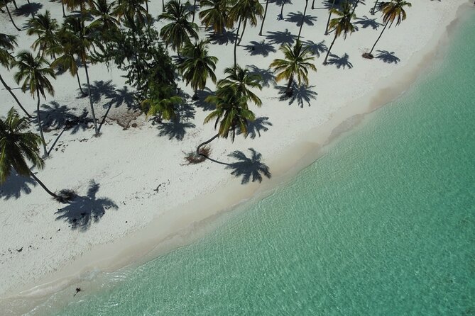 Saona by Speedboat: Private Beach & Snorkeling – Small Group - What the small-group format really means