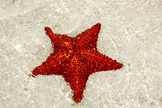 Saona by Speedboat: Private Beach & Snorkeling – Small Group - The speedboat ride to Saona