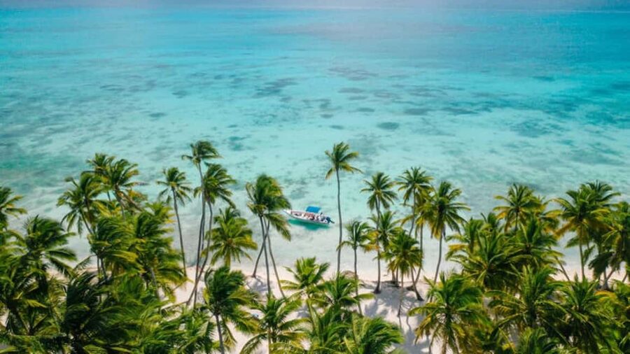 Saona Island: Catamaran/Speedboat Tour to a Dream Beach - Key points to know before you book