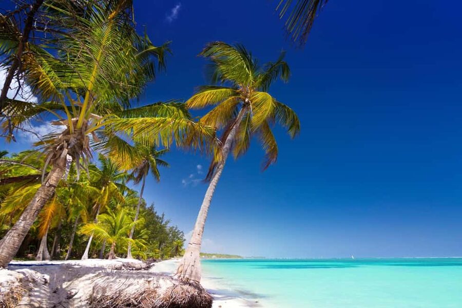 Saona Island: Catamaran/Speedboat Tour to a Dream Beach - Lunch, shade, and the limits of free time