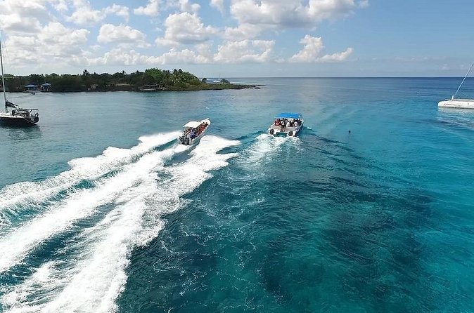 Saona Island Excursion by Catamaran and Speedboat - A Dominican-style barbecue lunch