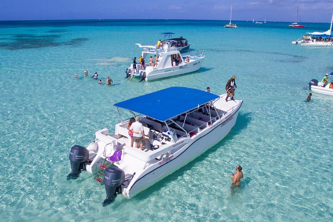Saona Island Excursion by Catamaran and Speedboat - The practical reality of transfers and group size
