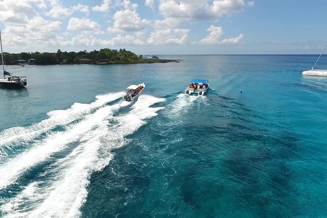 Saona Island Excursion by Catamaran and Speedboat - Who will enjoy this Saona day trip?