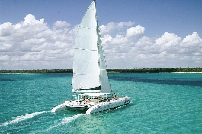 Saona Island Excursion by Catamaran and Speedboat (Full Day) - Three hours on Saona Island