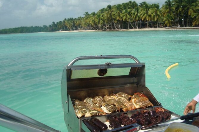 Saona island - Private Tour with a Luxury Speed Boat - Drinks, snacks, and the lunch question