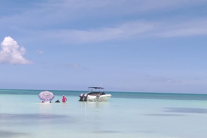Saona island - Private Tour with a Luxury Speed Boat - What the private boat adds to the price