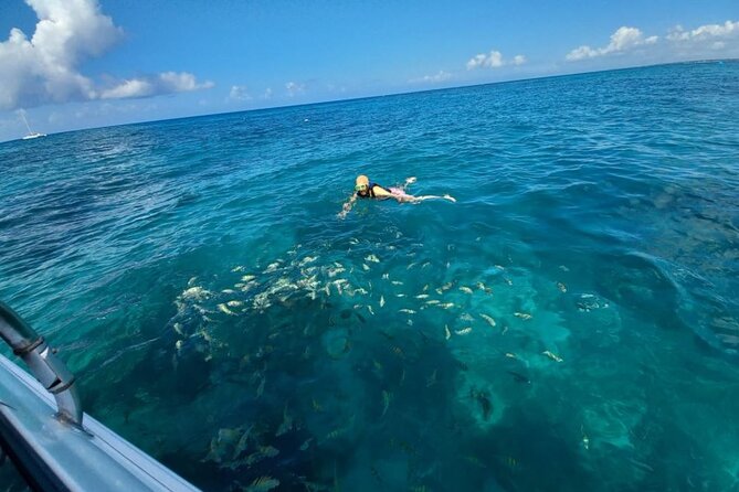 Saona island - Private Tour with a Luxury Speed Boat - Who will enjoy this tour most