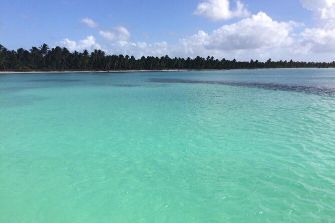 Saona island - Private Tour with a Luxury Speed Boat - Practical details before you book