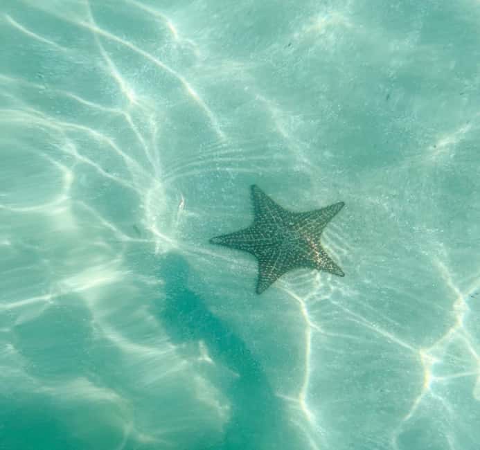 Saona Island Tour All Inclusive Speedboat and Catamaran - Two hours on Saona Island