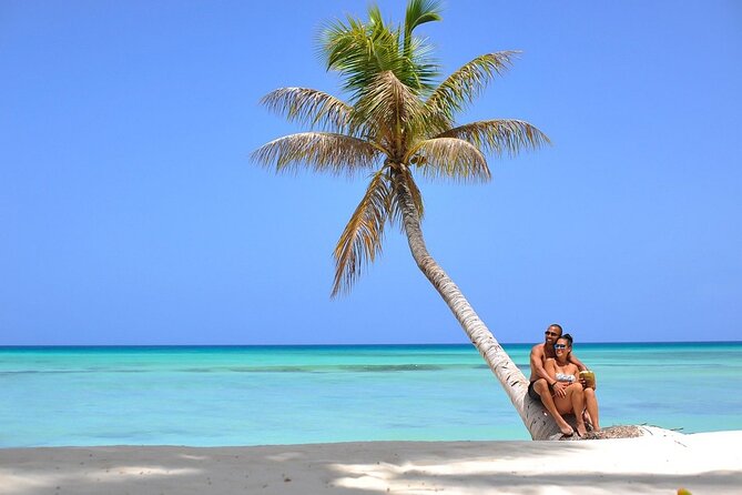 Saône Island in Catamaran and speedboat (blue lagoon) swimming pool. - Saona Island, palm beaches, and the Catuano channel
