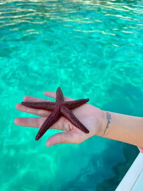 Sarandë Sea Safari: Speedboat to Hidden Coves & Wild Beaches - A final secret stop and Plazhi i Ushtarit