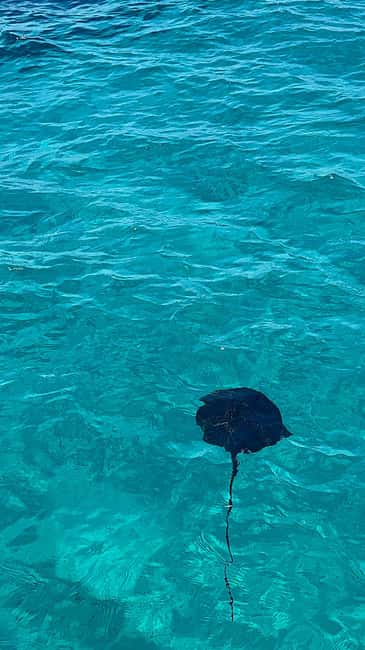 Sarandë Sea Safari: Speedboat to Hidden Coves & Wild Beaches - The first swim near the shipwreck